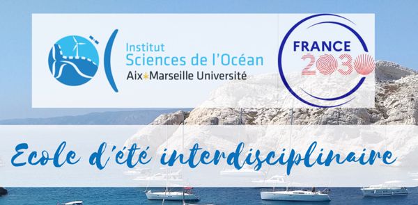 Ευκαιρίες συμμετοχής φοιτητών του ΕΚΠΑ στις εκπαιδευτικές δράσεις του CIVIS- Interdisciplinary summer school organised by Aix-Marseille Université.